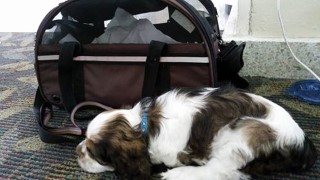 snooze